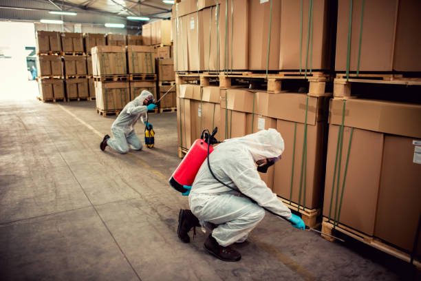 Reliable Snyderville, UT Pest Control Solutions