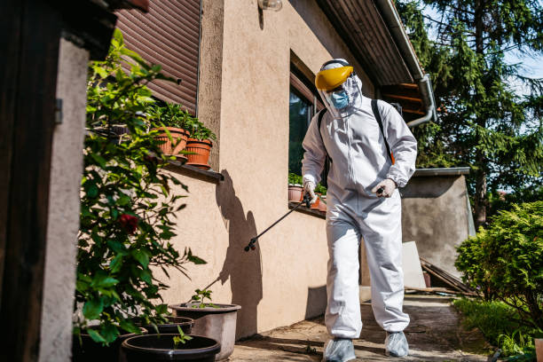 Best Termite Control Services  in Snyderville, UT