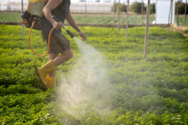 Best Wildlife Control Services  in Snyderville, UT