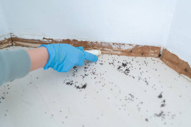 Best Residential Pest Control  in Snyderville, UT