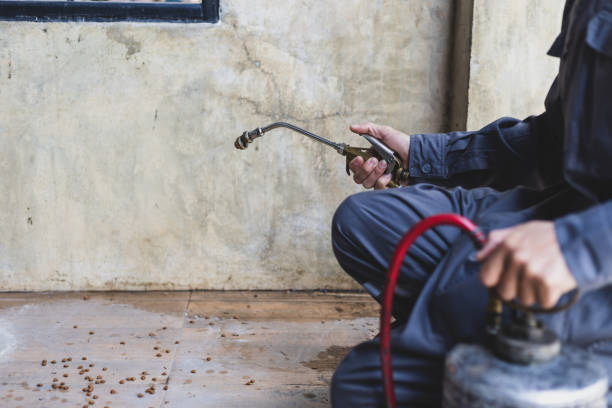 Best Commercial Pest Control Services  in Snyderville, UT